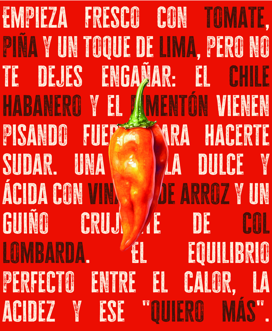 Grafikfamilie „Maxi’s Fire Brand“ – Branding und Verpackungsdesign von Indigo Estudio Mallorca