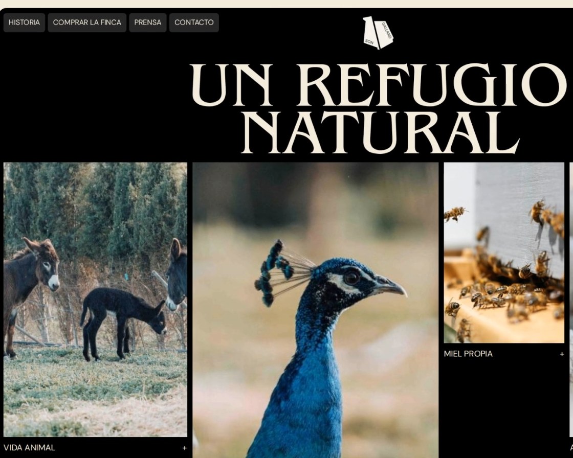 Ein Naturparadies – Bereich der Website von Son Gallard Vell · Indigo Estudio
